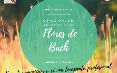 Terapeuta en Flores de Bach. Nivel Básico