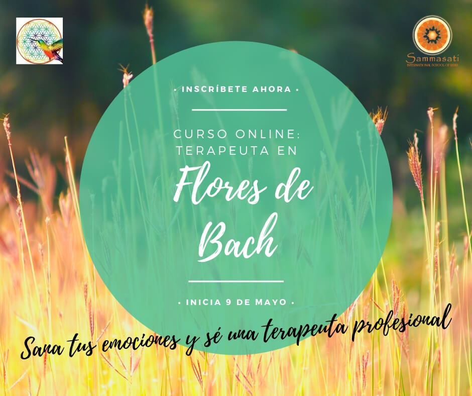 Curso-Terapeuta-en-Flores-de-Bach-1
