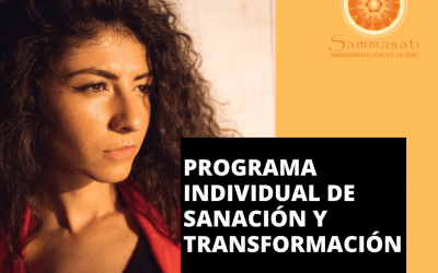 Programa Individual de Sanación y Transformación*