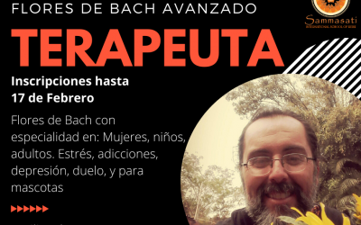 Terapeuta en Flores de Bach. Nivel Avanzado