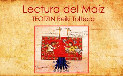 Lectura de Maiz