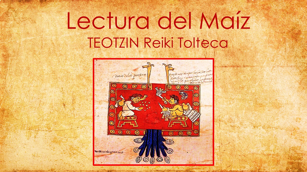 LECTURA DEL MAÍZ